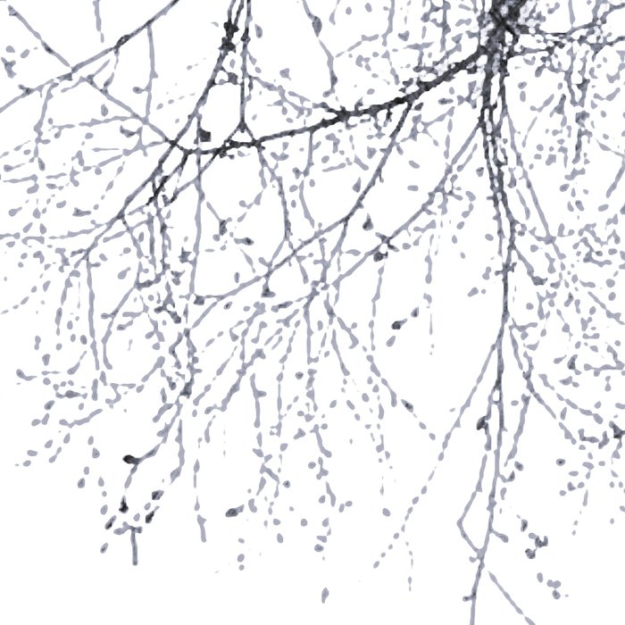 BLACK BRANCHES Coffee Mug Gallery Image 2