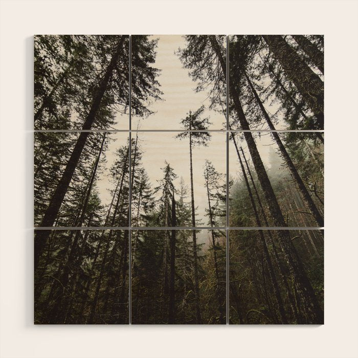 Pacific Northwest Forest Wood Wall Art Gallery Image 1