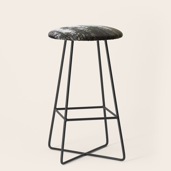 Pacific Northwest Forest Stool Gallery Image 1