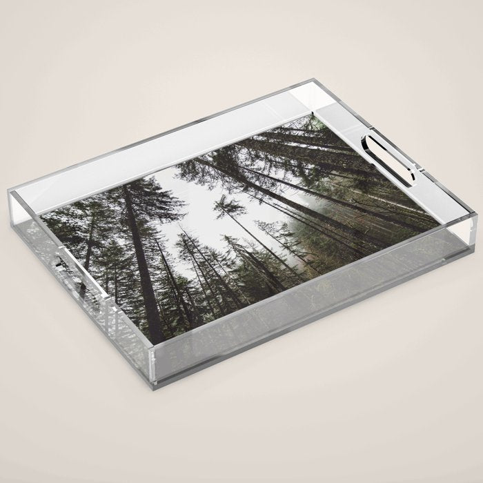 Pacific Northwest Forest Acrylic Tray Gallery Image 1