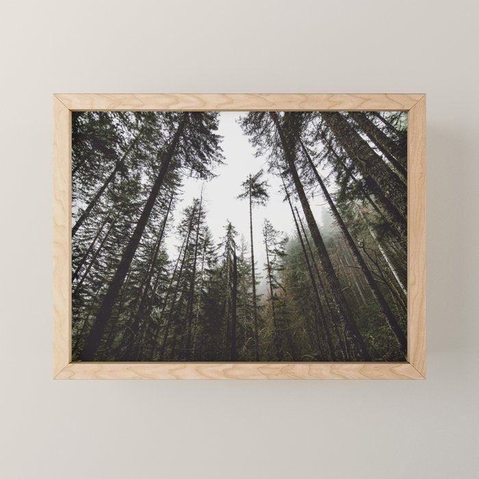 Pacific Northwest Forest Mini Art Print Gallery Image 1