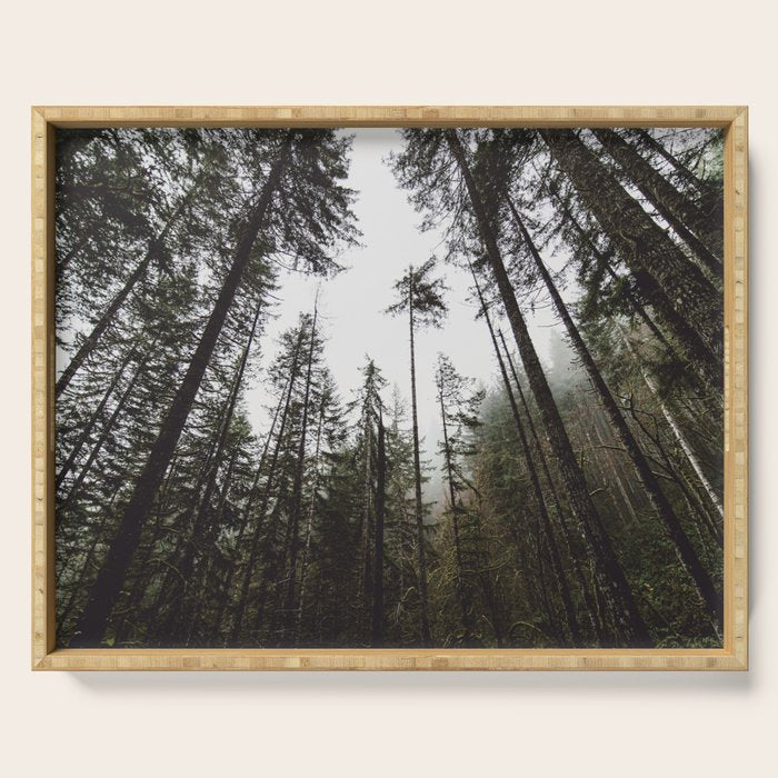 Pacific Northwest Forest Serving Tray Gallery Image 1