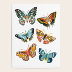 Woodland Butterfly Print Poster Gallery Image 4