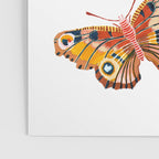 Woodland Butterfly Print Poster Gallery Image 3
