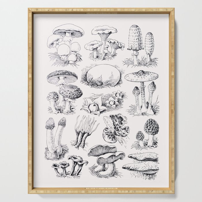 Mushroom Collection Serving Tray Gallery Image 1