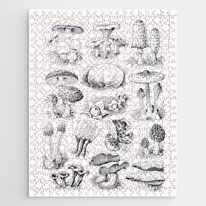 Mushroom Collection Jigsaw Puzzle Gallery Image 1