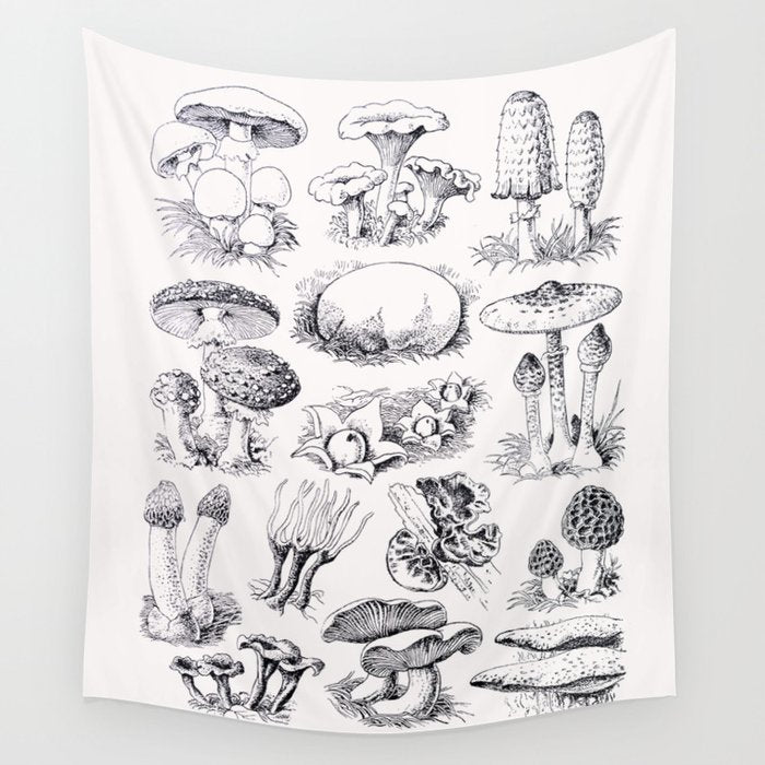Mushroom Collection Wall Tapestry Gallery Image 4