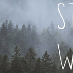 Stay Wild - Forest Adventure Coffee Mug Gallery Image 2
