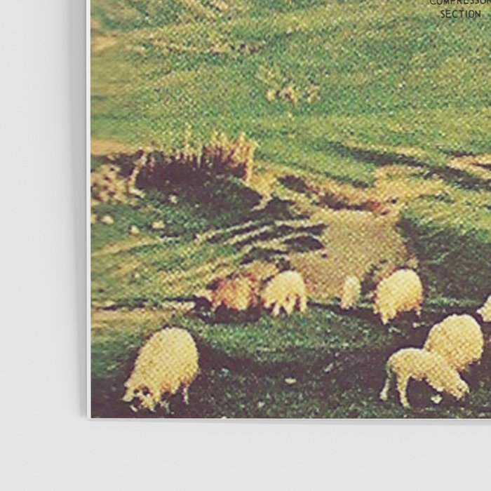 Sheeprunner Poster Gallery Image 3