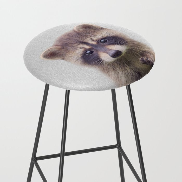 Raccoon - Colorful Stool Gallery Image 2