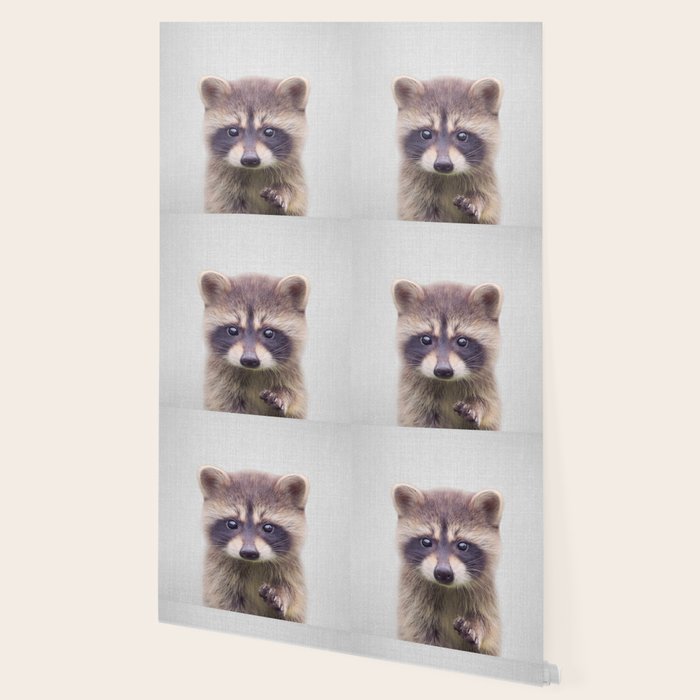 Raccoon - Colorful Wallpaper Gallery Image 2