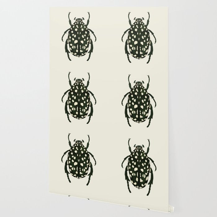 green beetle insect Wallpaper Gallery Image 2