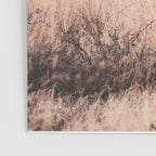West Texas Vista Poster Gallery Image 3