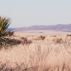 West Texas Vista Coffee Mug Gallery Image 2