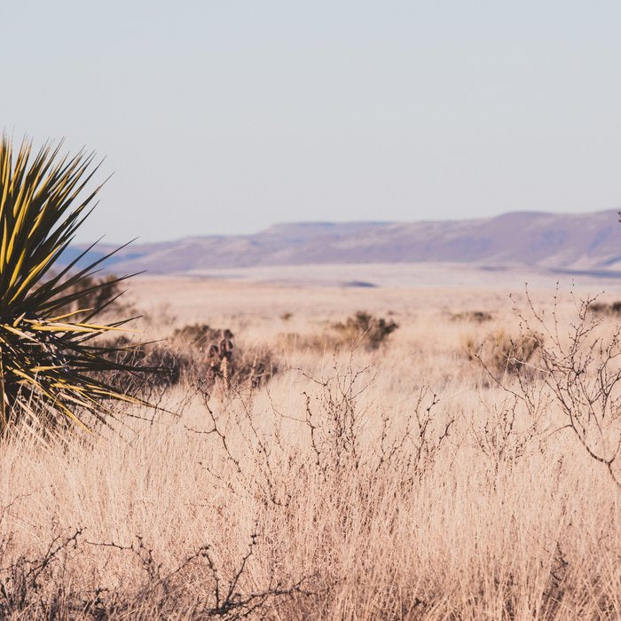 West Texas Vista Coffee Mug Gallery Image 2