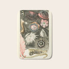 Tide Pool Animals from "A Naturalist's Rambles on the Devonshire Coast" by Philip Henry Gosse, 1853 (benefitting The Nature Conservancy) Bath Mat Gallery Image 1