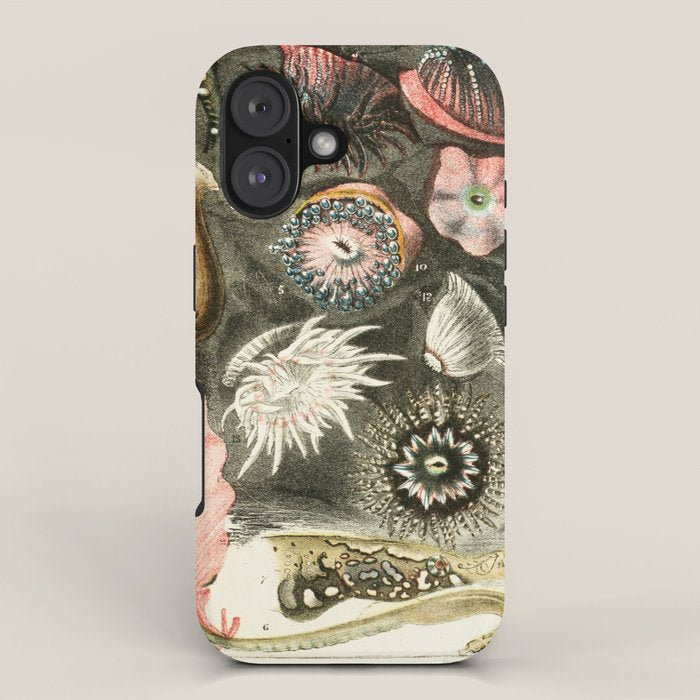 Tide Pool Animals from "A Naturalist's Rambles on the Devonshire Coast" by Philip Henry Gosse, 1853 (benefitting The Nature Conservancy) iPhone Case Gallery Image 1