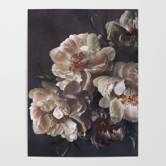 Midnight Peonies  Poster