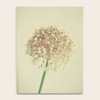 Sphere Notebook Gallery Image 4