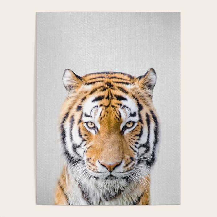 Tiger - Colorful Poster Gallery Image 4