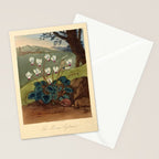 The Persian Cyclamen from "The Temple of Flora," 1812 (benefitting The Nature Conservancy)  Stationery Card Gallery Image 2