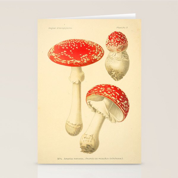 Amanita Muscaria mushroom from "Atlas des Champignons Comestibles et Vénéneux," 1891 (benefitting The Nature Conservancy) Stationery Card Gallery Image 2