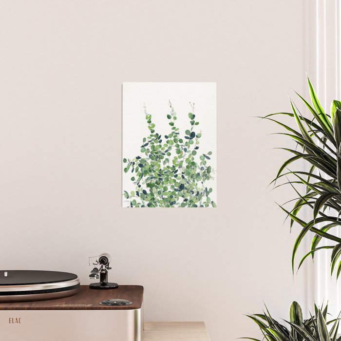 Eucalyptus  Poster Gallery Image 2