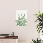 Eucalyptus  Poster Gallery Image 2