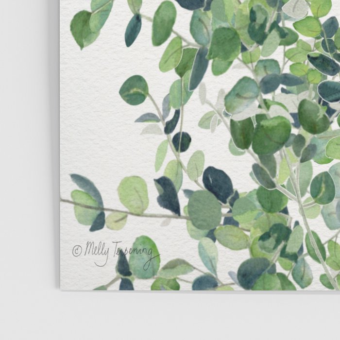 Eucalyptus  Poster Gallery Image 3