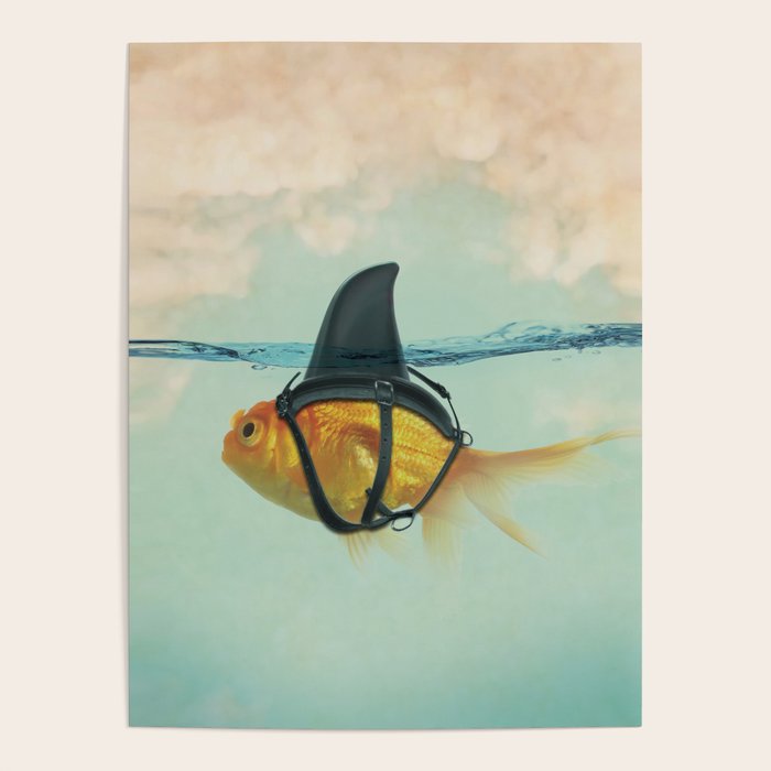 Brilliant Disguise (RM) Poster Gallery Image 1