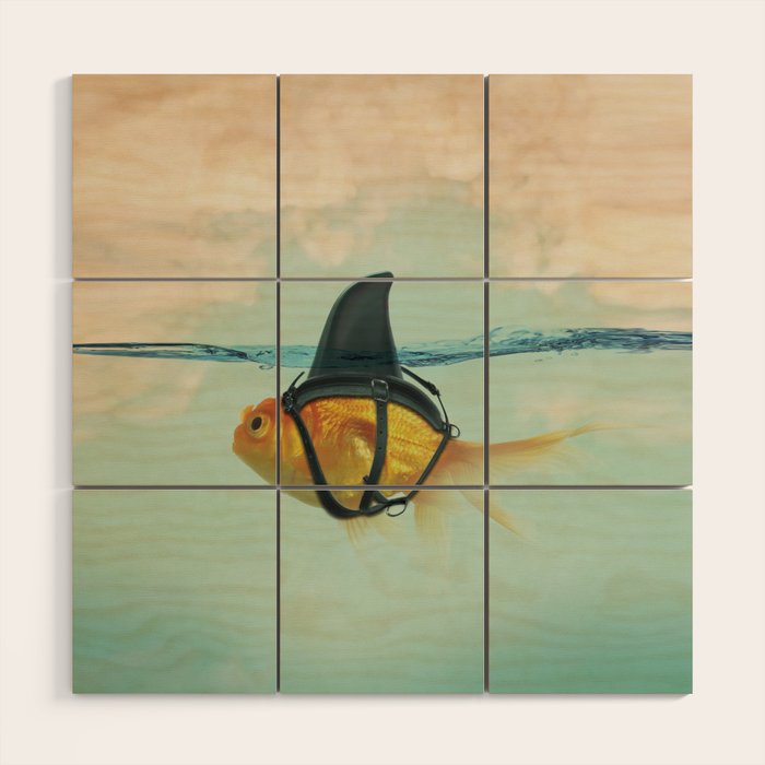 Brilliant Disguise (RM) Wood Wall Art Gallery Image 1