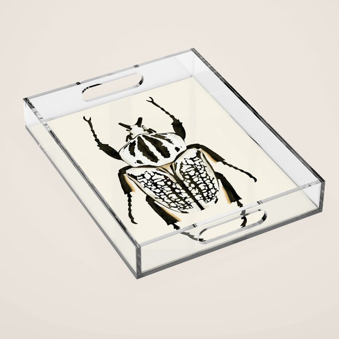  beetle insect Acrylic Tray Gallery Image 1
