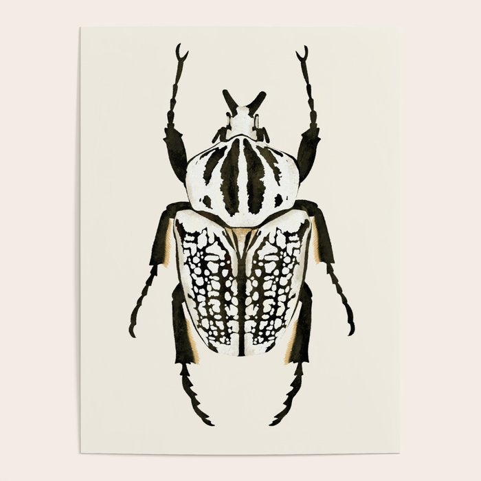  beetle insect Poster Gallery Image 4