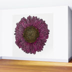 Pink Flower Drawing/ Illustration Wall Mural Gallery Image 2