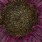 Pink Flower Drawing/ Illustration Coffee Mug Gallery Image 2