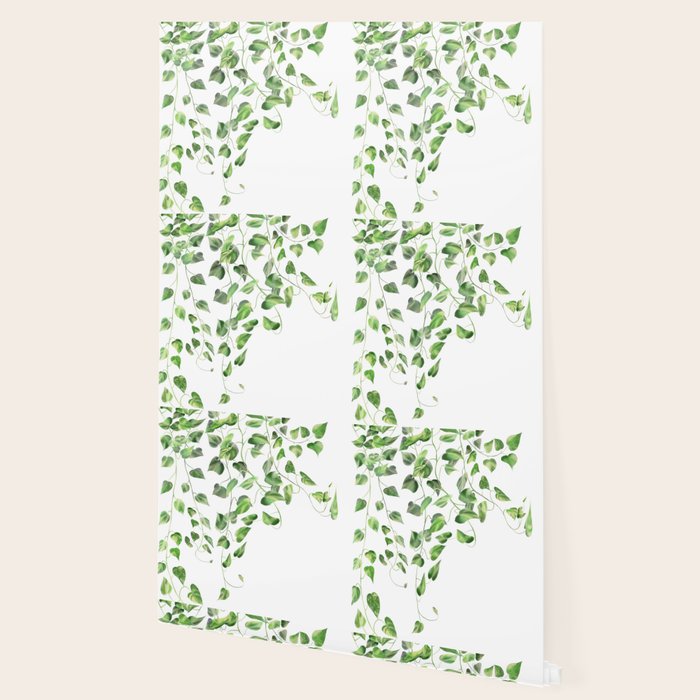 Golden Pothos - Ivy Wallpaper Gallery Image 2