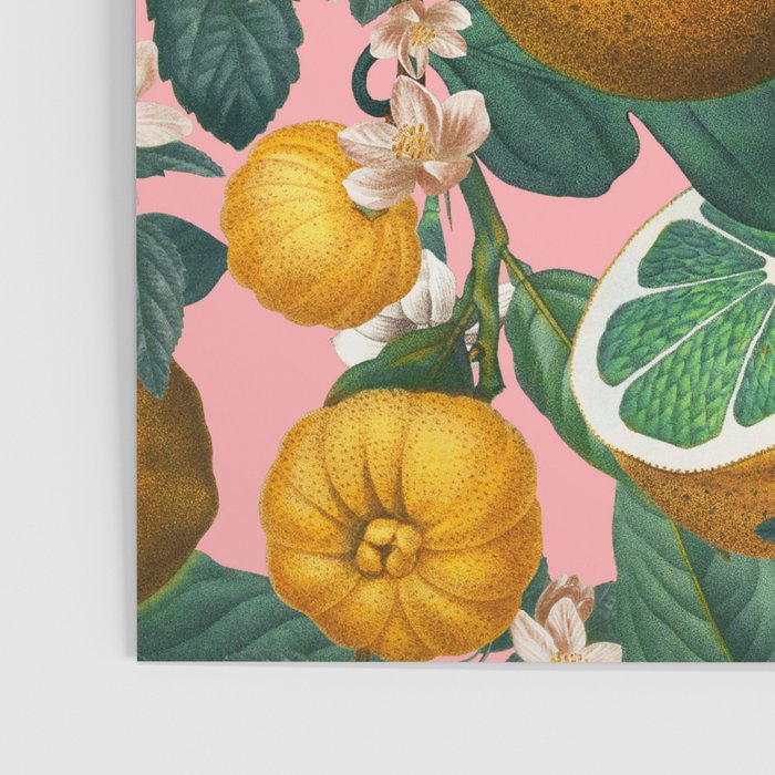 Juicy Lemons II Poster Gallery Image 3