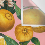 Juicy Lemons II Wall Tapestry Gallery Image 3