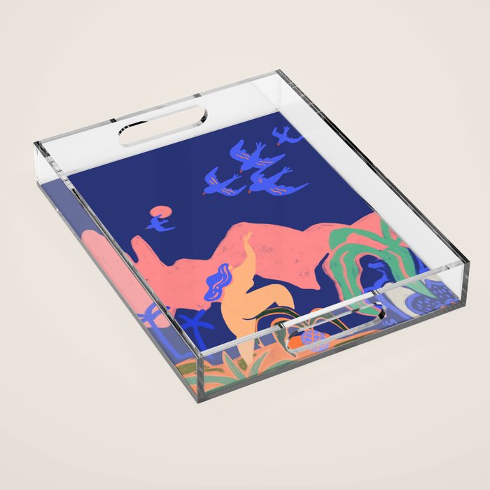 Fly South Acrylic Tray Gallery Image 1
