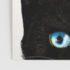 Cat and Bird Poster Gallery Image 3