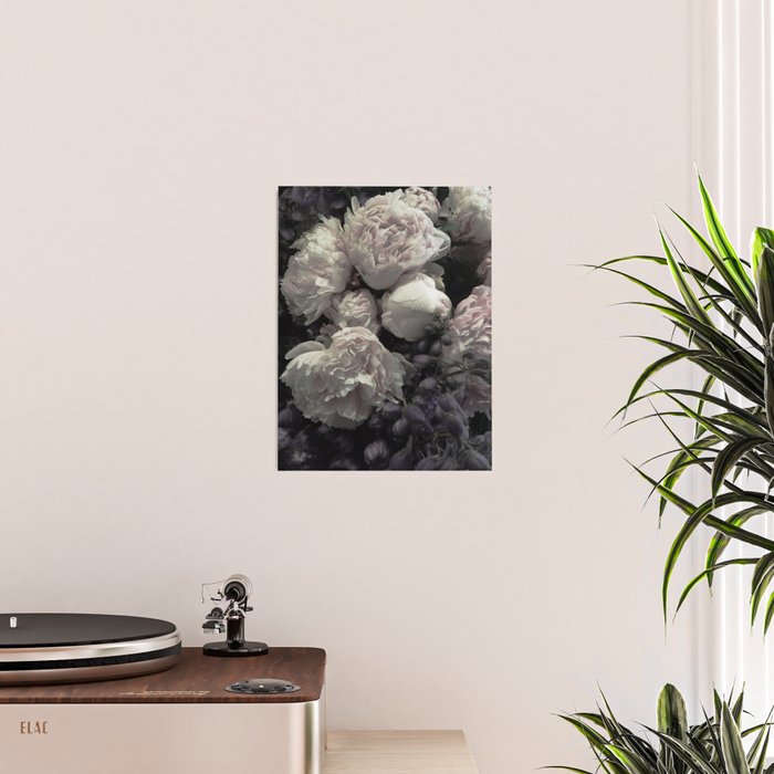 Peonies pale pink and white floral bunch Poster Gallery Image 2