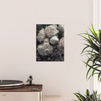 Peonies pale pink and white floral bunch Poster Gallery Image 2