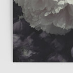 Peonies pale pink and white floral bunch Poster Gallery Image 3
