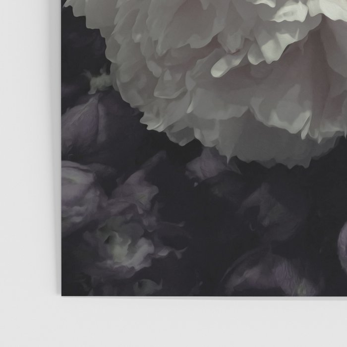 Peonies pale pink and white floral bunch Poster Gallery Image 3