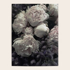 Peonies pale pink and white floral bunch Poster Gallery Image 4