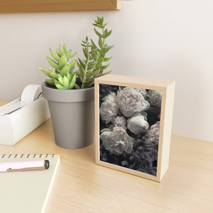 Peonies pale pink and white floral bunch Mini Art Print Gallery Image 2