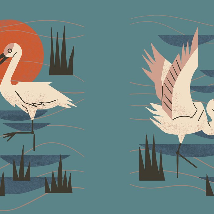 Cranes Wading At Sunset Coffee Mug Gallery Image 2
