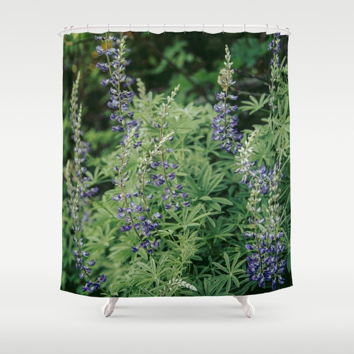 Lupine Shower Curtain Gallery Image 1