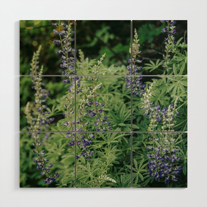 Lupine Wood Wall Art Gallery Image 1
