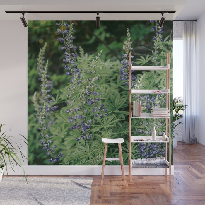 Lupine Wall Mural Gallery Image 1